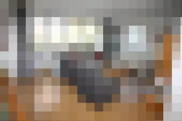 Wetering 20 Vriezenveen thumbnail 5