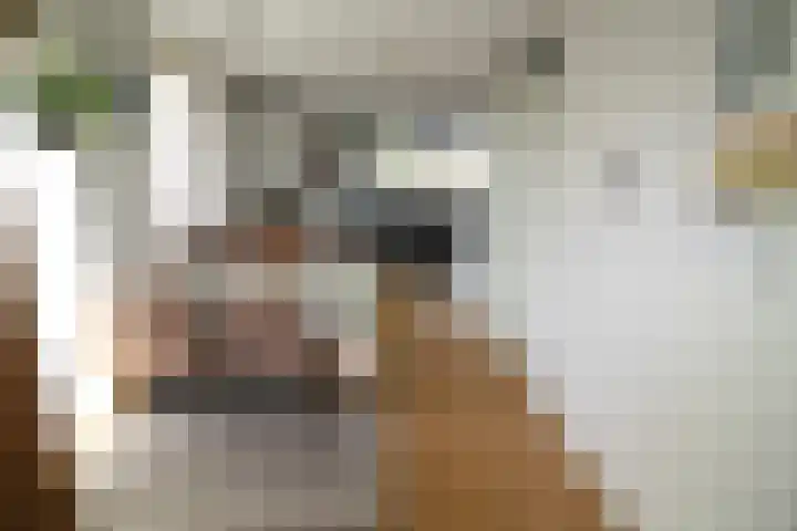 Wetering 20 Vriezenveen thumbnail 8