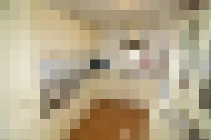 Wetering 20 Vriezenveen thumbnail 9