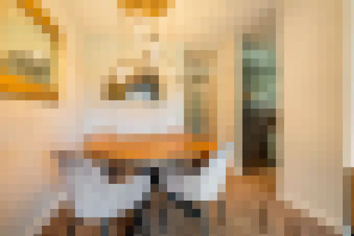 Wetering 25 Blaricum thumbnail 11