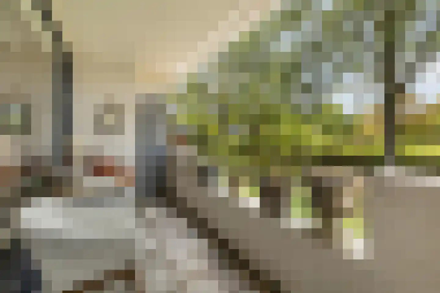 Wetering 25 Blaricum thumbnail 5