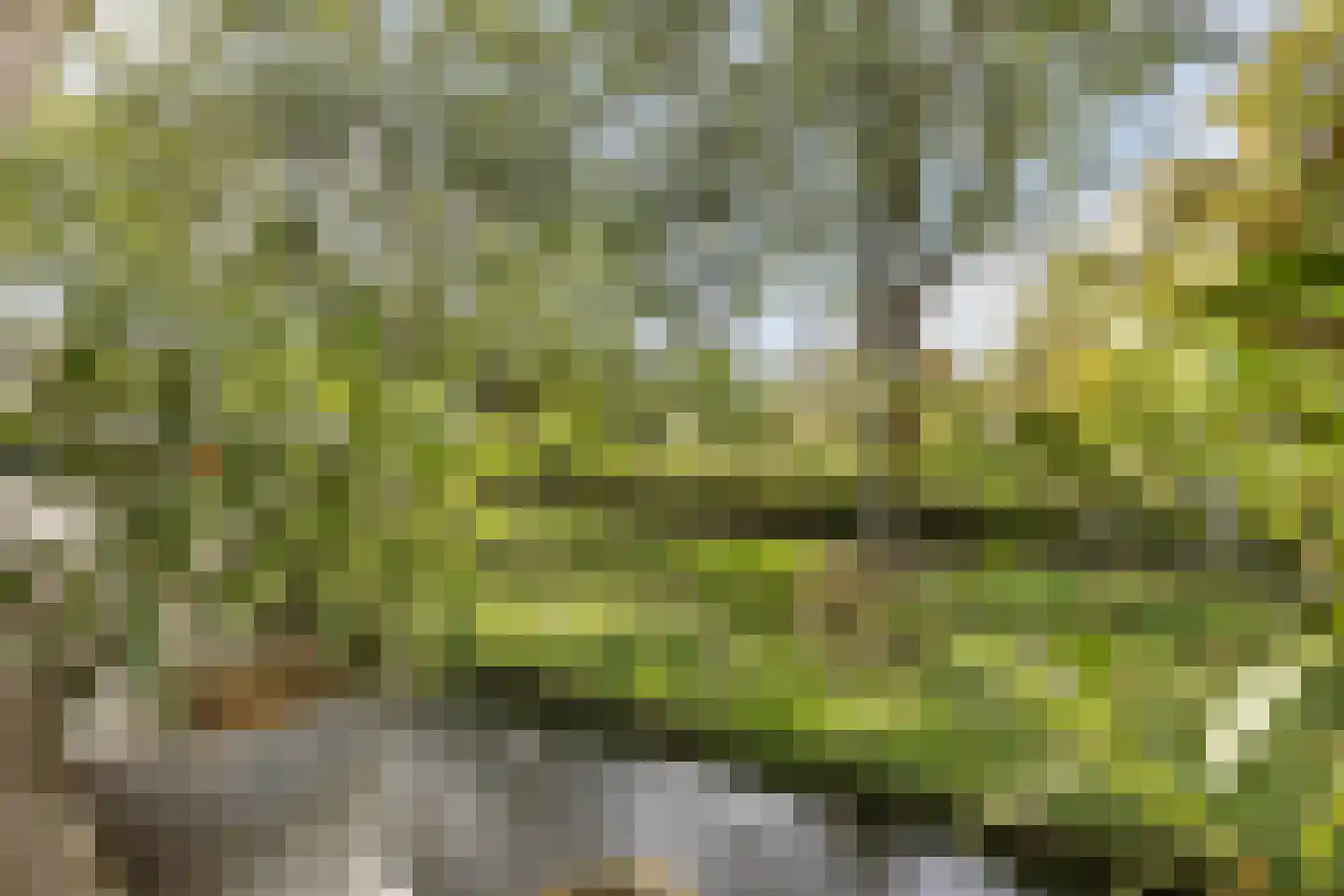 Wetering 25 Blaricum thumbnail 6