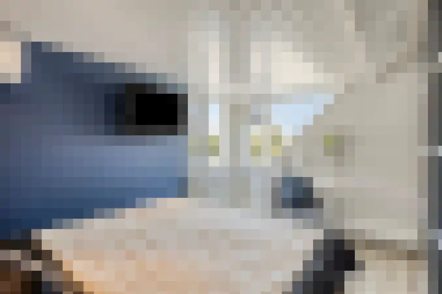 Wetering 27 Oss thumbnail 23