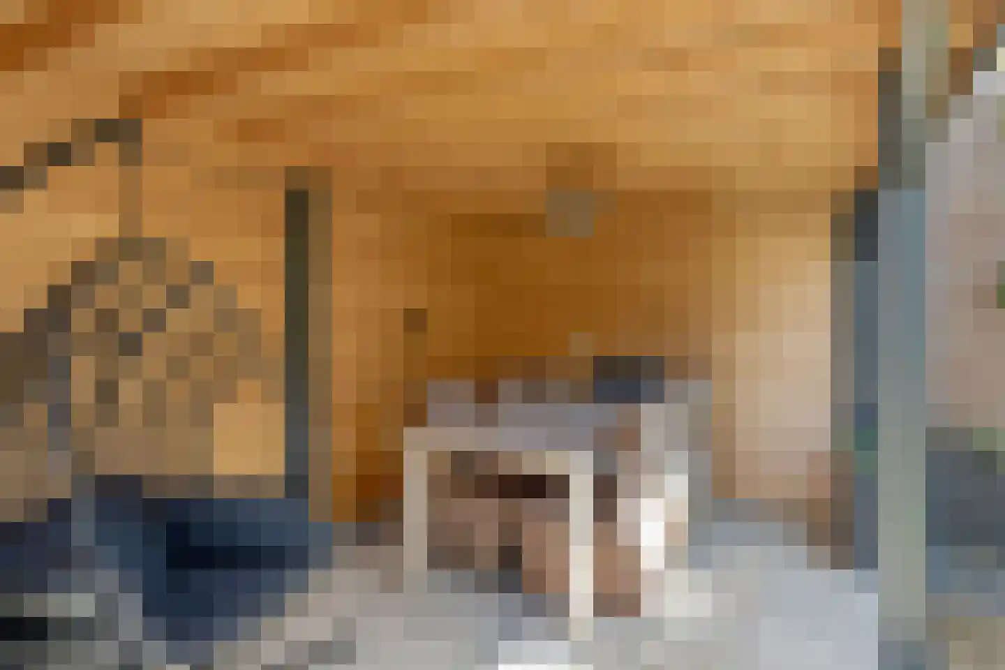 Wetering 27 Oss thumbnail 29