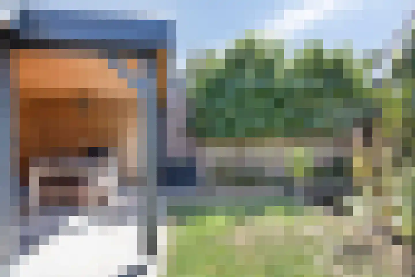 Wetering 27 Oss thumbnail 30