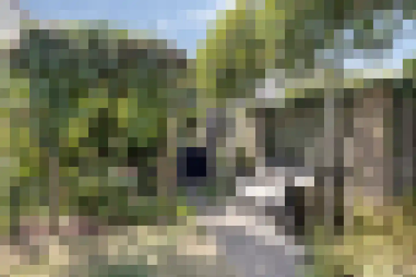 Wetering 27 Oss thumbnail 32