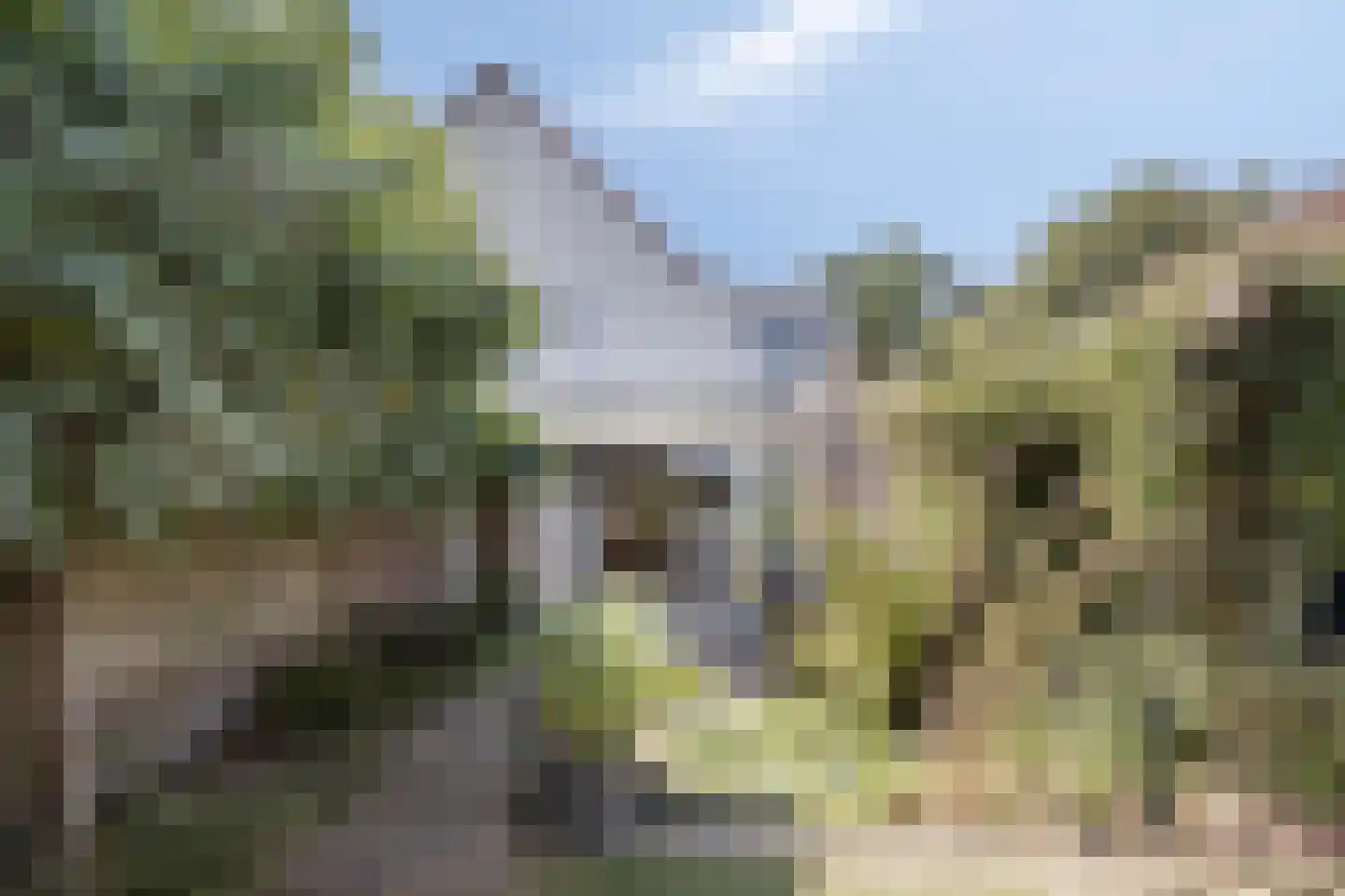 Wetering 27 Oss thumbnail 34