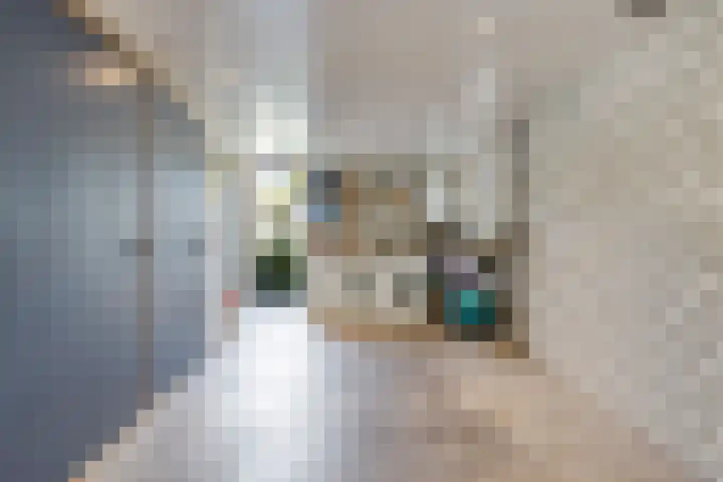 Wetering 27 Oss thumbnail 38