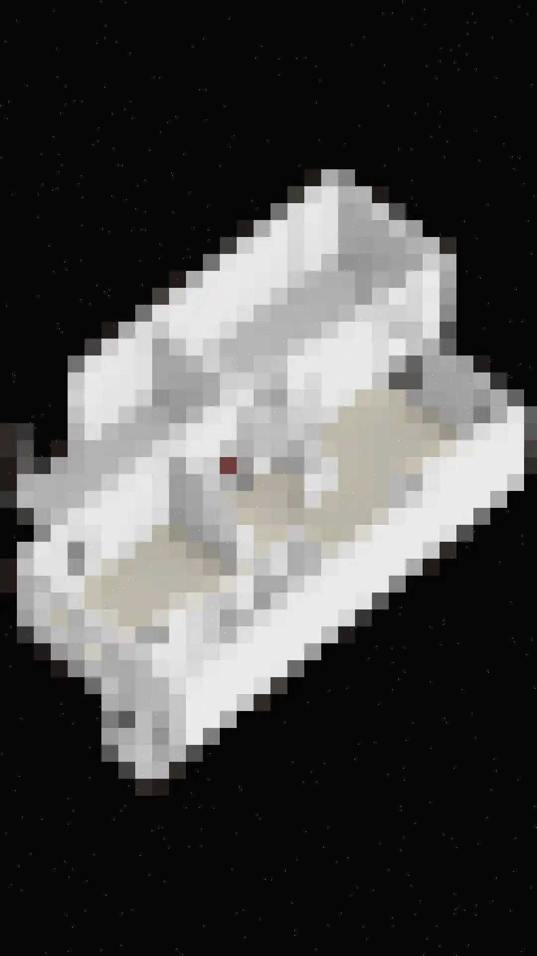Wetering 27 Oss thumbnail 47