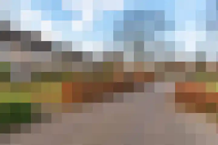 Wetering 28 Bergen (NH) thumbnail 32
