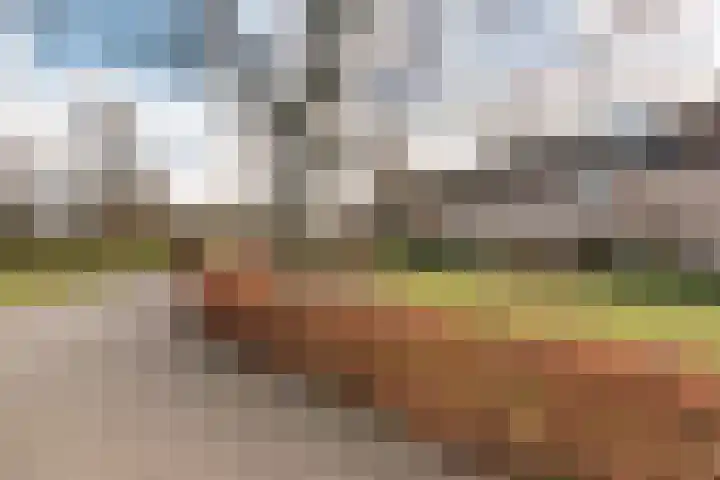 Wetering 28 Bergen (NH) thumbnail 33