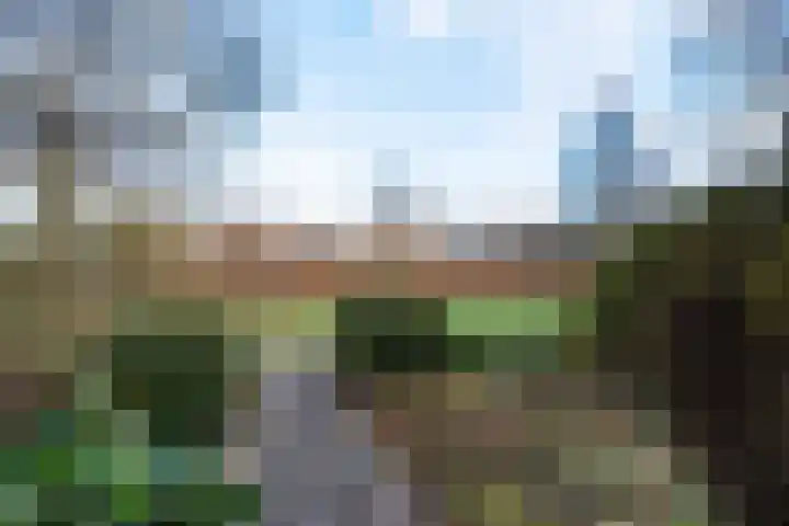 Wetering 28 Bergen (NH) thumbnail 34