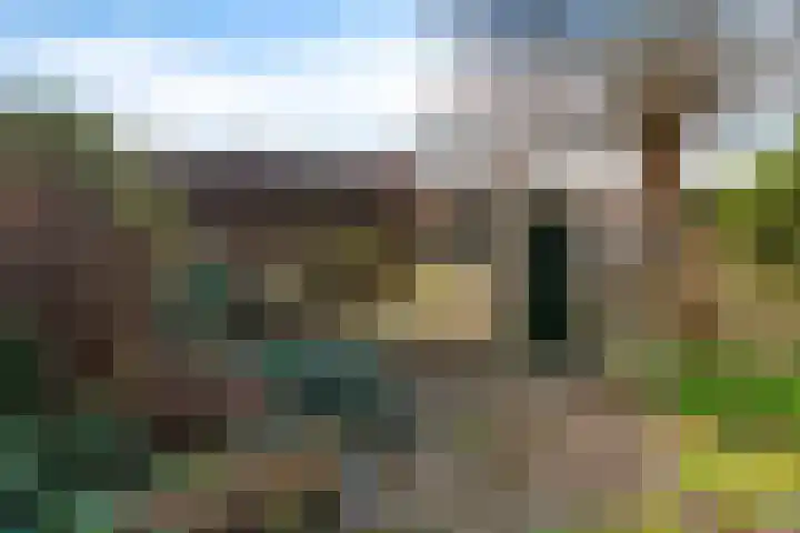 Wetering 28 Bergen (NH) thumbnail 39