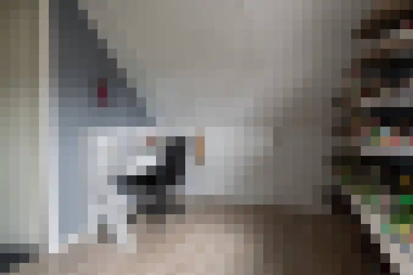 Wetering 28 Vriezenveen thumbnail 30