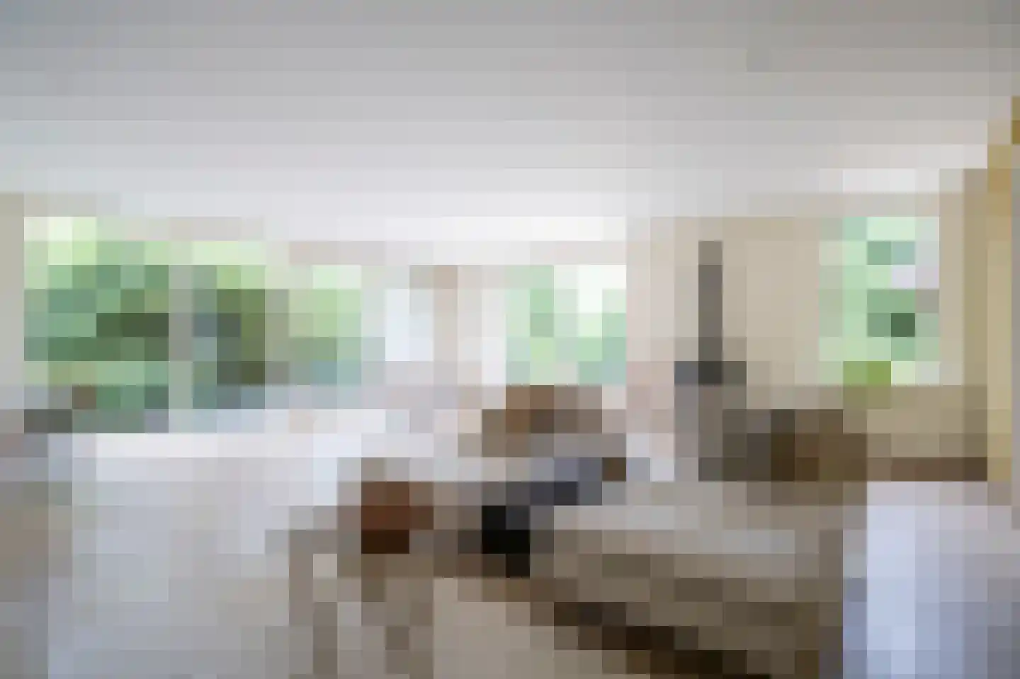Wetering 29 Giessenburg thumbnail 10