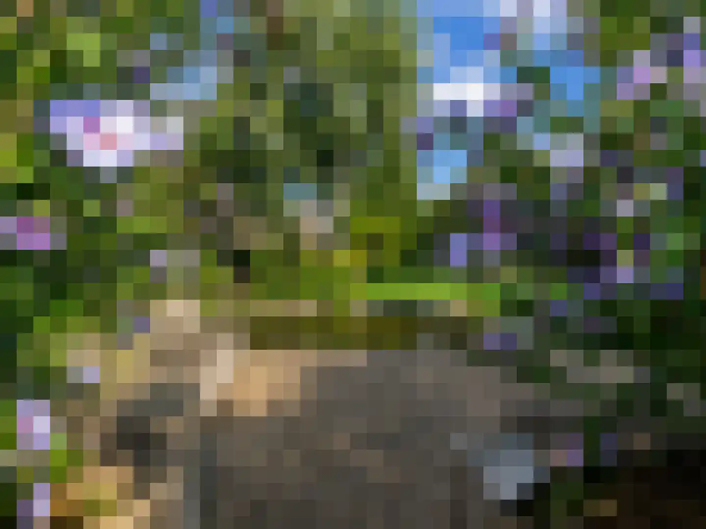 Wetering 29 Giessenburg thumbnail 23