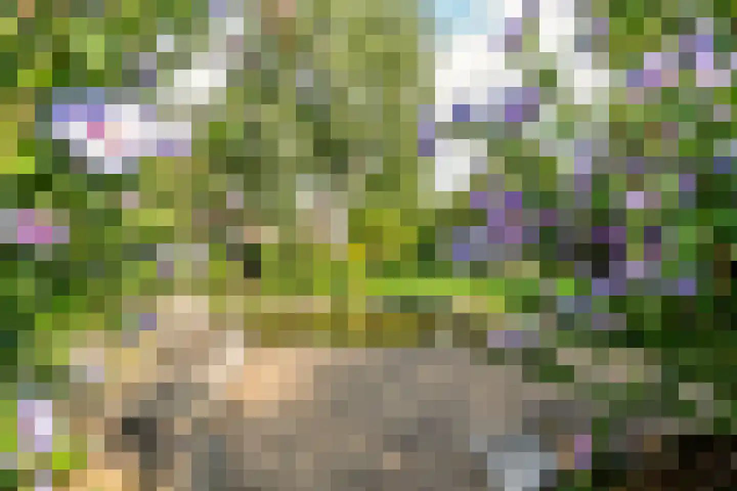 Wetering 29 Giessenburg thumbnail 23