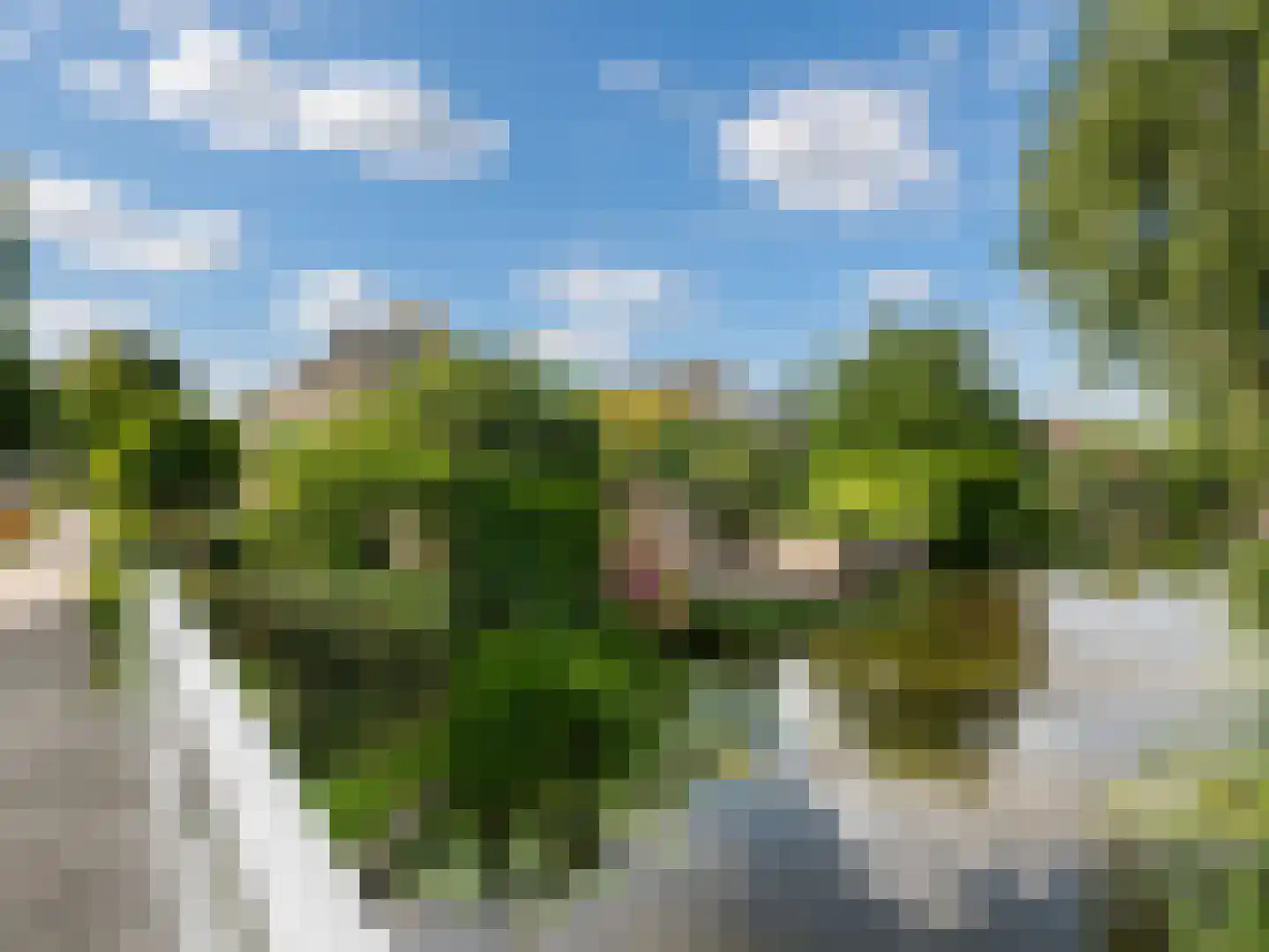 Wetering 29 Giessenburg thumbnail 28