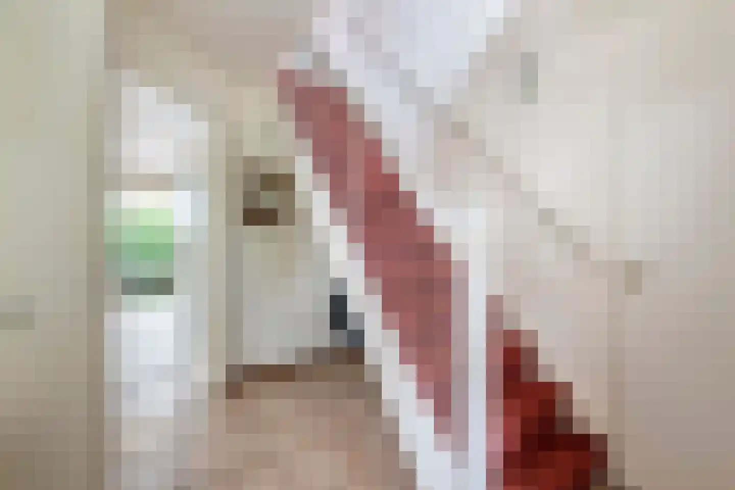 Wetering 29 Giessenburg thumbnail 4