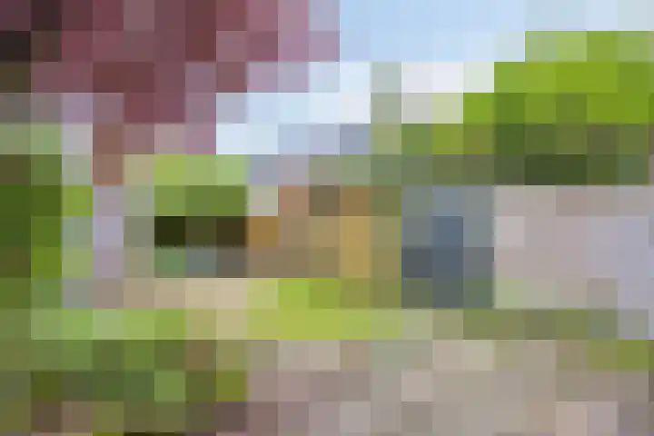 Wetering 47 Bergen (NH) thumbnail 21
