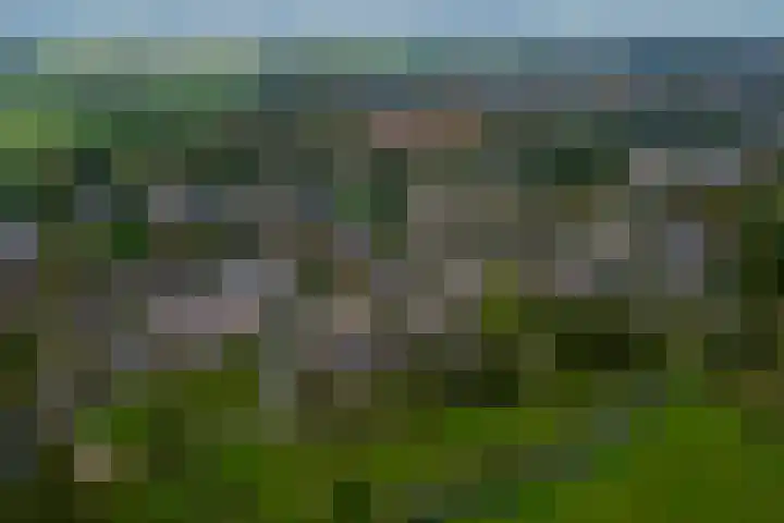 Wetering 47 Bergen (NH) thumbnail 26