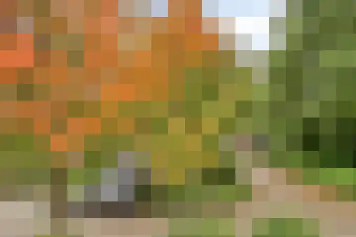 Wetering 47 Bergen (NH) thumbnail 34