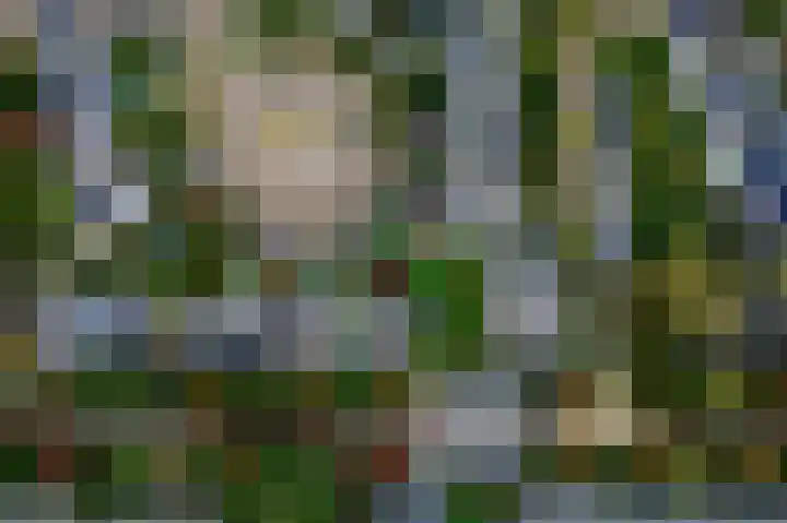 Wetering 47 Bergen (NH) thumbnail 4