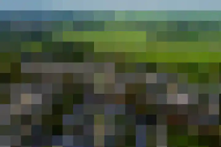 Wetering 47 Bergen (NH) thumbnail 5