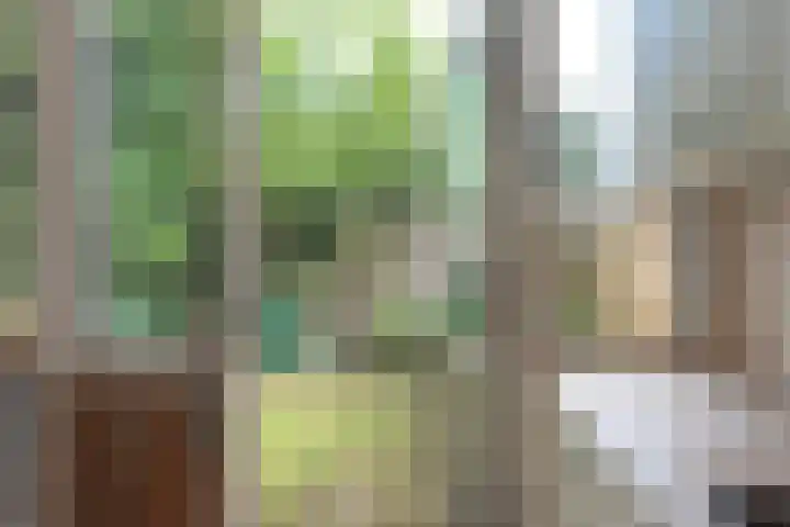 Wetering 49 Bergen (NH) thumbnail 8