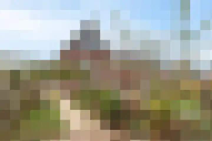 Wetering 5 Rossum thumbnail 10