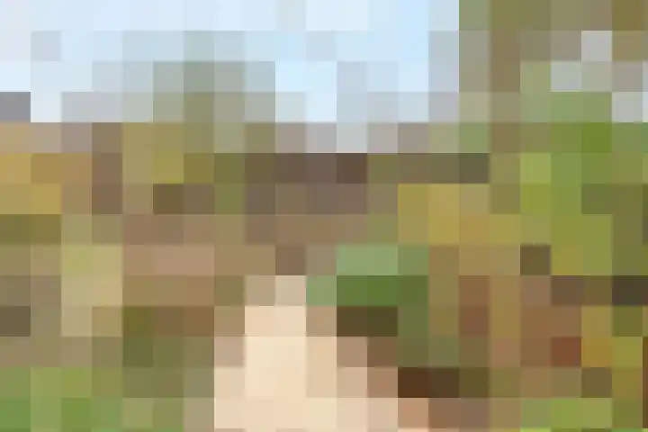 Wetering 5 Rossum thumbnail 11