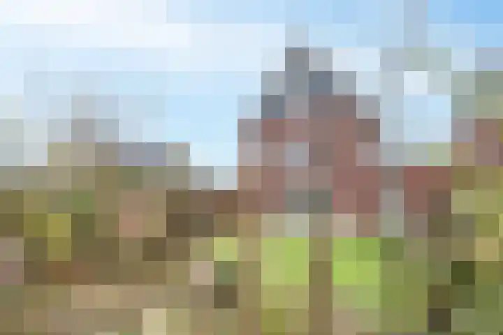 Wetering 5 Rossum thumbnail 12