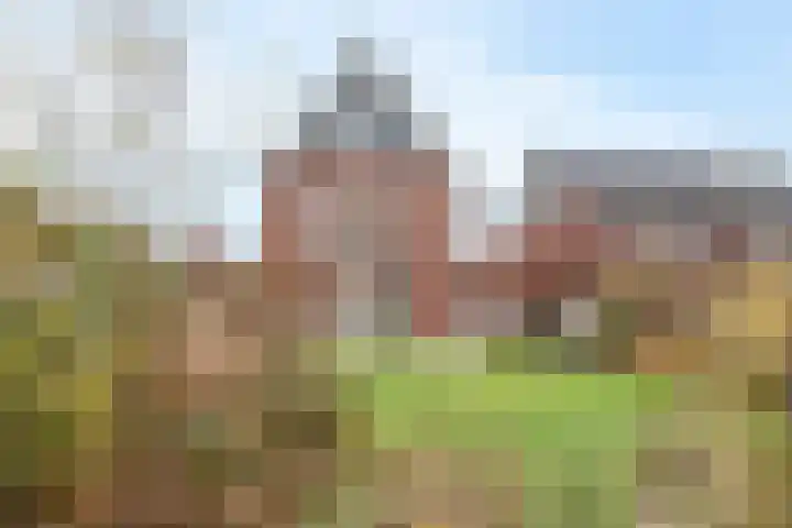 Wetering 5 Rossum thumbnail 13