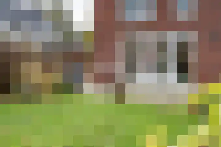 Wetering 5 Rossum thumbnail 14