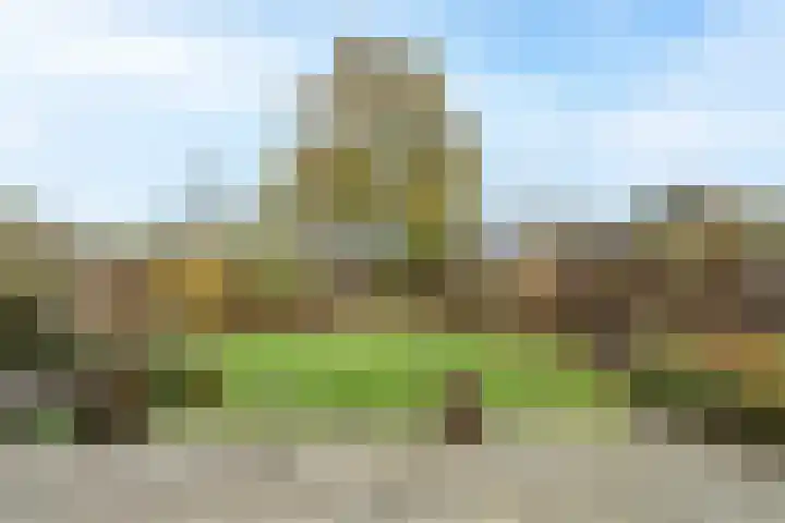 Wetering 5 Rossum thumbnail 15