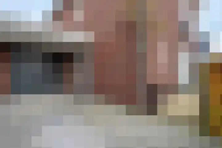 Wetering 5 Rossum thumbnail 4