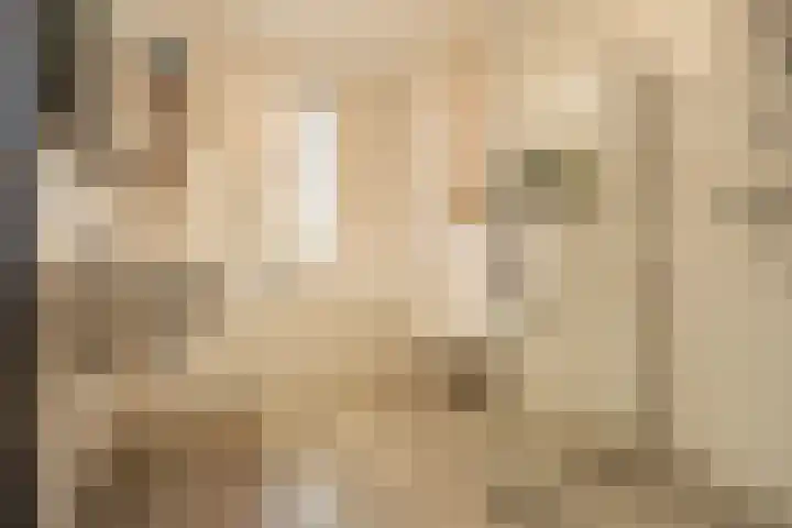 Wetering 5 Rossum thumbnail 48