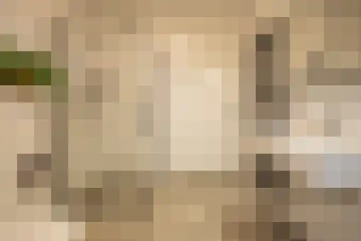 Wetering 5 Rossum thumbnail 51