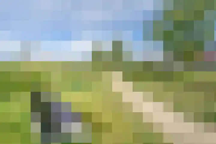 Wetering 5 Rossum thumbnail 58