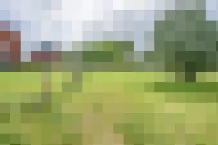 Wetering 5 Rossum thumbnail 59