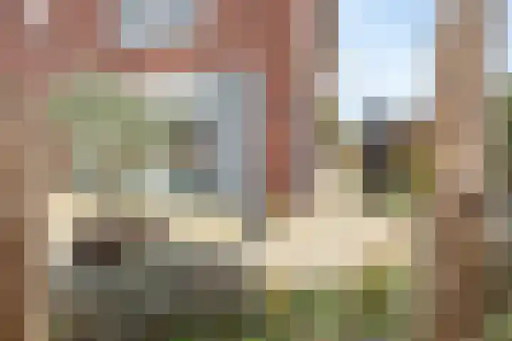 Wetering 5 Rossum thumbnail 6
