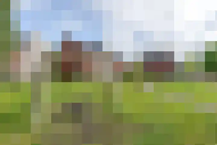Wetering 5 Rossum thumbnail 60