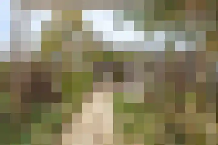 Wetering 5 Rossum thumbnail 9