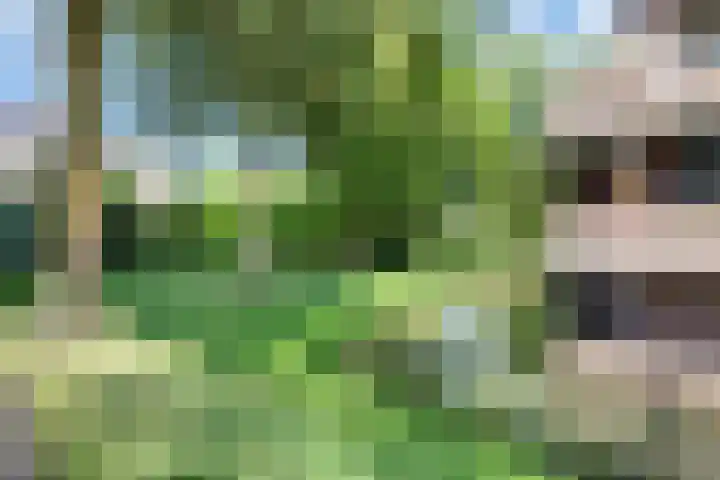 Wetering 50 Blaricum thumbnail 24