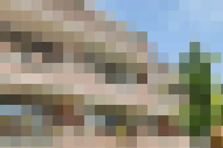 Wetering 50 Blaricum thumbnail 27