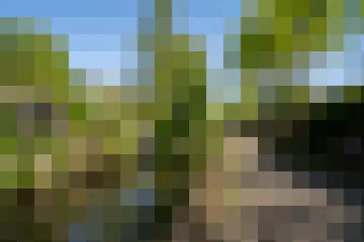 Wetering 61 Blaricum thumbnail 22