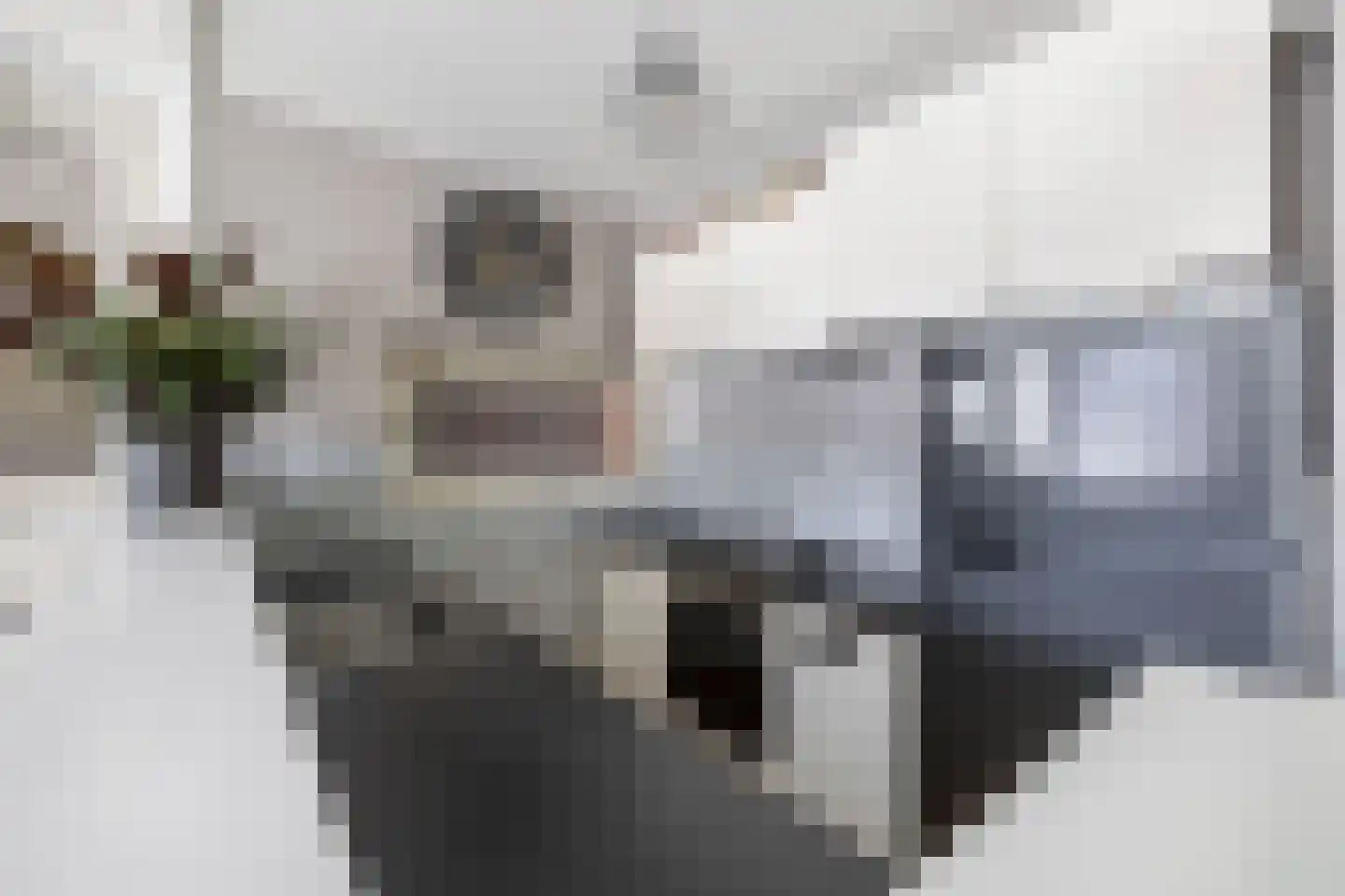 Wetering 68 Blaricum thumbnail 11
