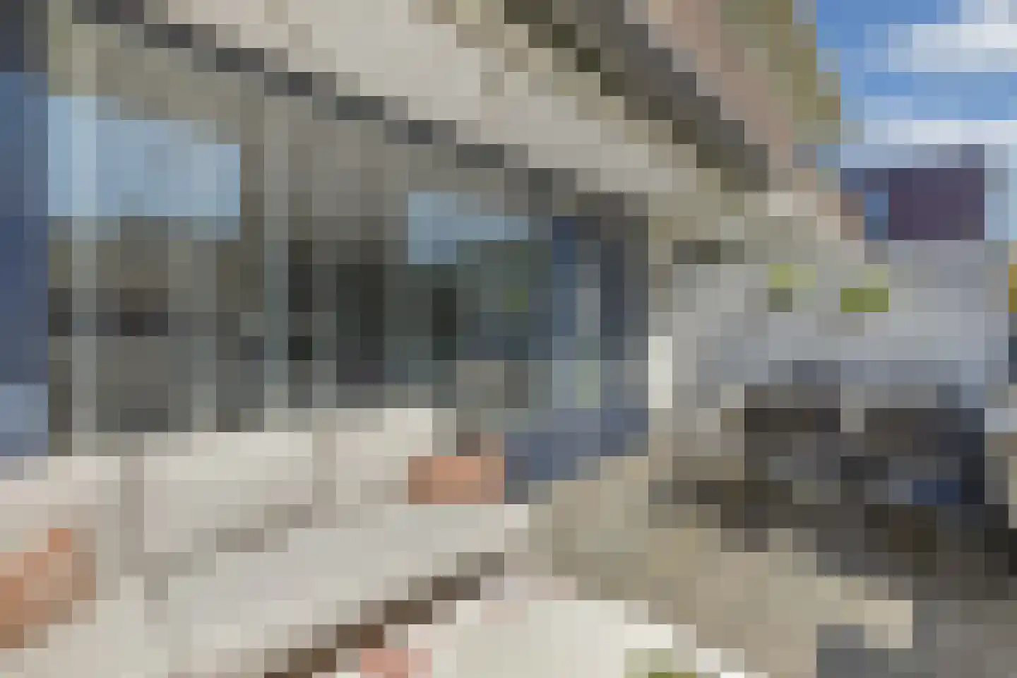 Wetering 68 Blaricum thumbnail 18