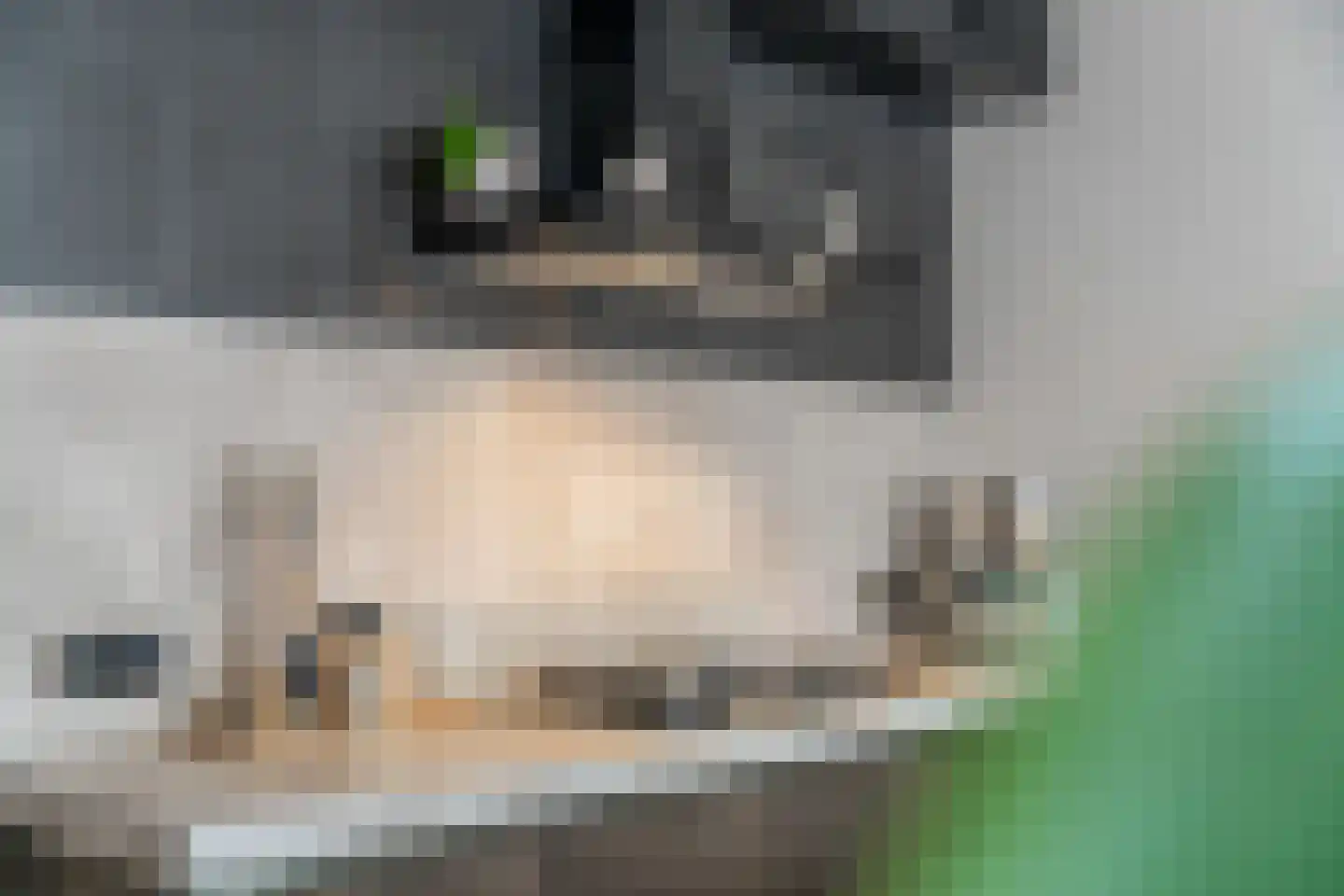 Wetering 73 Blaricum thumbnail 10