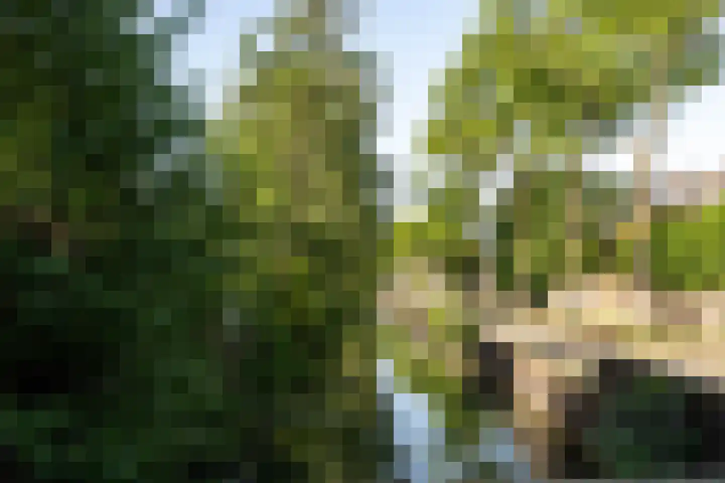 Wetering 73 Blaricum thumbnail 38